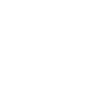 bird2 bird2